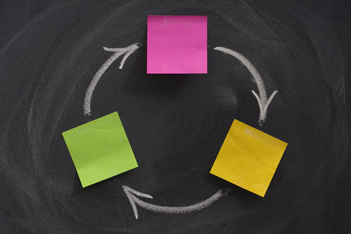 feedback cycle